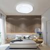 36W 110V RGB Ceiling Light Dimmable Night Ambience Light LED Color Changing Lamp