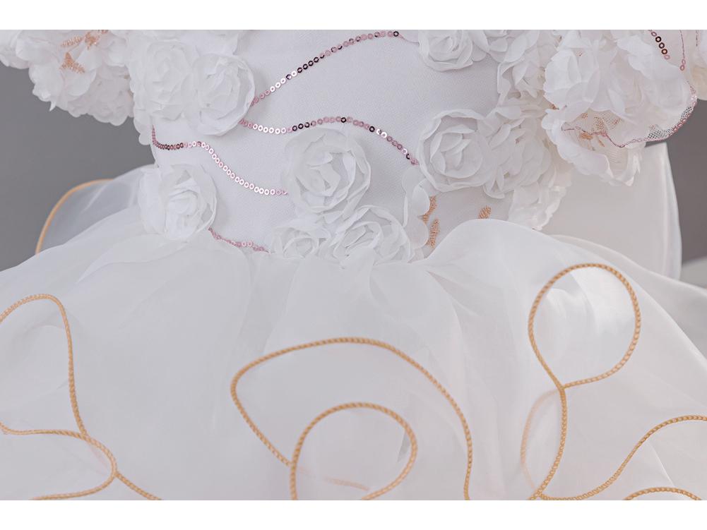 2025 New Children's Princess Dress with Rose 3D Appliques, Bow, and Cake Train