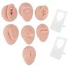 Silicone Body Part Model Soft Silicone Ear Mouth Nose Eye Tongue Navel Model with Display Rack for Teaching Display Practice