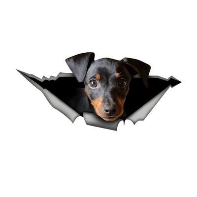 Shorthair Hound Car Stickers, Weather-Resistant Vinyl Stickers for Windows, Bumper Crafts - PVC Material Vehicle Decals