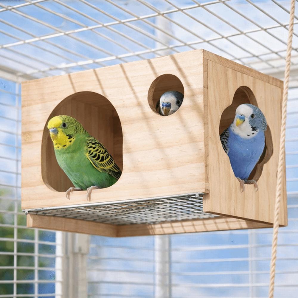 Grande Cage d'Élevage de Perroquets Respirante Boîte de Reproduction de Perroquets Maison d'Oiseaux en Bois Élevage de Perroquets