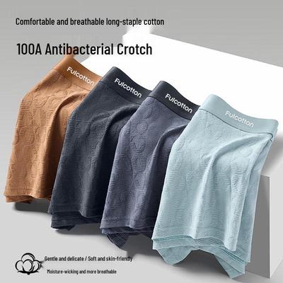 Chiloței – Boxeri