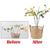 6pcs 12pcs Butterflies Orchid Succulents Flower Vegetables Plant Stand Plant Potted Support Rods Garden Supplies