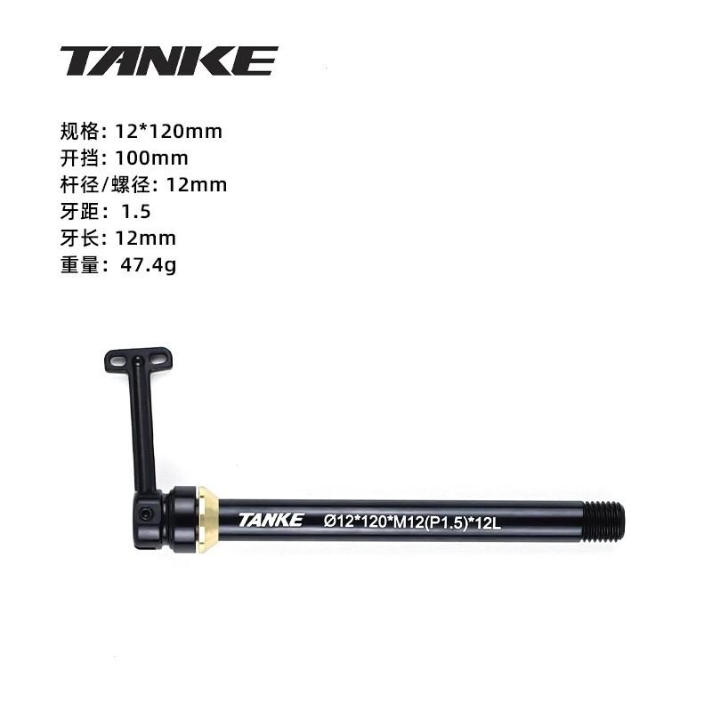 Carbon Bike Front Fork Hidden Thru Axle 142/148mm Road MTB