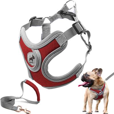 Arnés para Perro SAEGYPET con Correa Arnés Collar para Perro Sin Tirones con Chaleco Acolchado Arnés para Entrenamiento y Correr Perros Pequeños Medianos Grandes Set, (Rojo, M)