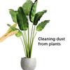 Щипці для чищення листя Щипці для чищення листя кімнатних рослин Засіб для чищення листя рослин у формі листка
