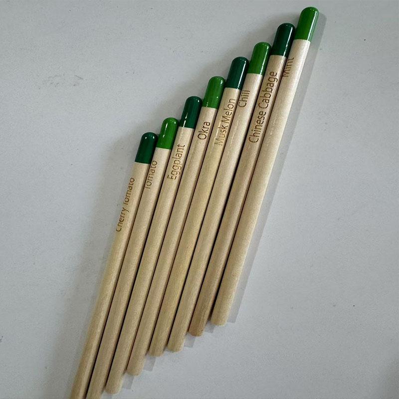 Green Vegetable Gift Pencils - A Wonderful Gift - 8 Pieces per Set