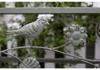 Amerikanischer Retro Vogel Eisenkunst Dreistufiger Garten Blumentopfständer