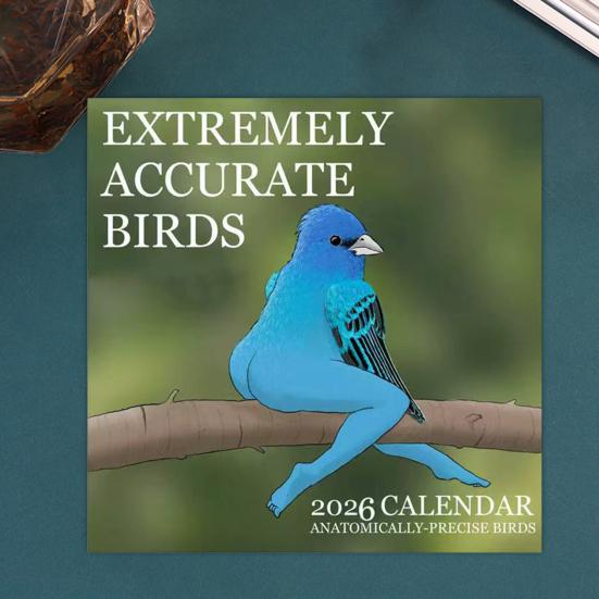 Calendar de perete 2026 Păsări amuzante Calendar de perete de agățat ian.. până în Dec.2026 Planificator de 12 luni Cadou amuzant de Crăciun Cadou Elefant Alb pentru adulți