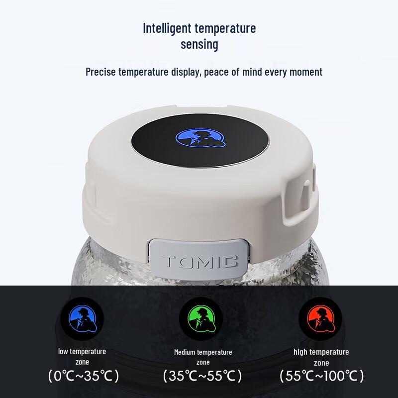 Temyk Pure Titanium Hammered Insulated Bottle