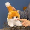 New Animal Doll Cute Cat Holding Pillow On The Bed Holding Doll Sleeping with Doll Plush Toy Birthday Gift