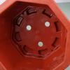 1 Pezzo Vaso da Fiori Esagonale in Plastica con Sottovaso Non si Deforma Facilmente Speciale per Bonsai Piante Verdi Decorazione Classica per Giardino Interno