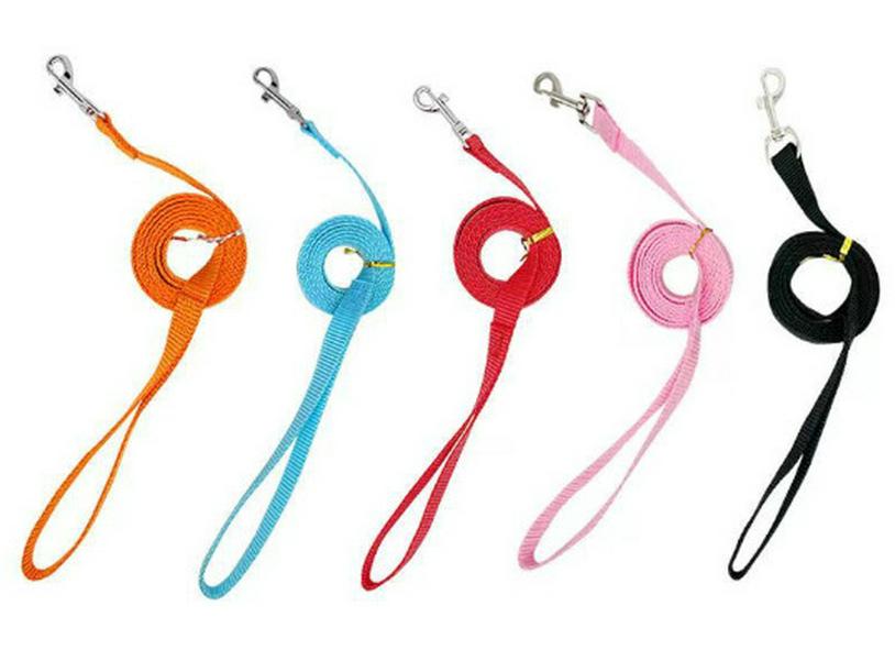 Newcomer Offer: Pet Canvas Rope Dog Leash for Training Medium-Sized Dogs