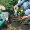 Kartoffel Anzuchtsäcke Vlies Kartoffel Pflanzgefäß Gemüse Pflanzsäcke für Zuhause Balkon Garten Karotten Tomaten Gemüse