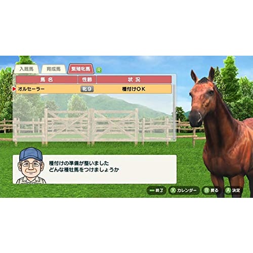 Derby Stallion -Switch