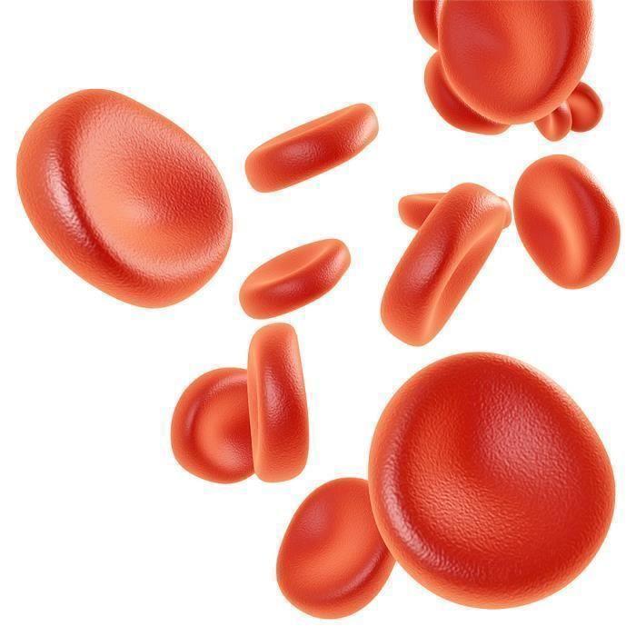 Greenfood Vitamin B12 (Methylcobalamin), 250 mg, 120 Kapseln, hohe Dosis - für mehr Energie. vegan.