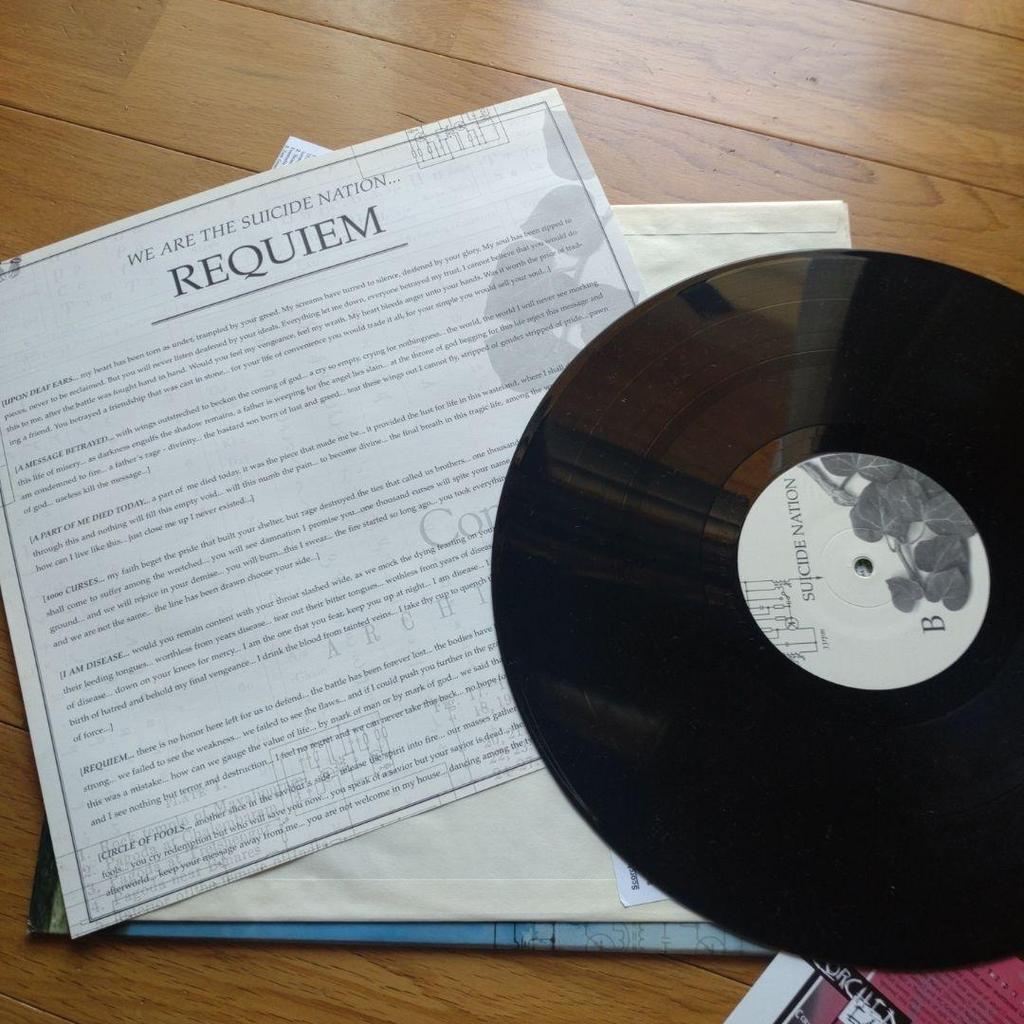 [USED] SUICIDE NATION: a requiem for all hardcore