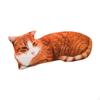 Cat Design Throw Pillow for Car Sofa Bedroom Decorative Use