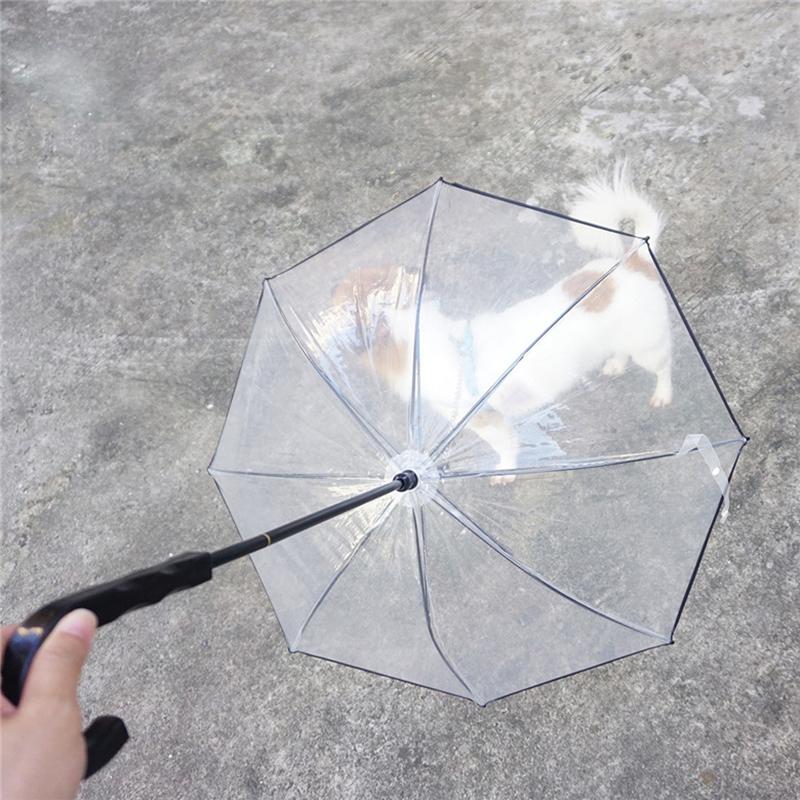 Transparent Pet Umbrellas Small Dog Umbrella With Dog Leash Iron Chain As Raincoat For Dogs Beautiful Package Pet Supplies