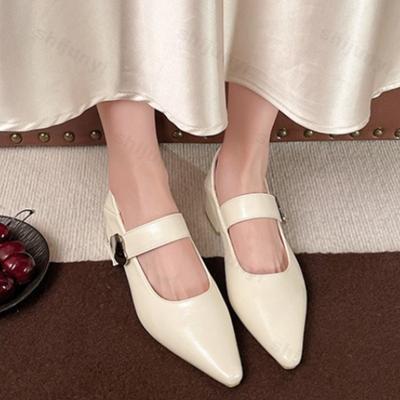 Modne Retro Eleganckie Codzienne Damskie Buty Mary Jane 2025 Wiosna Nowe Szpiczasty Nosek Grubszy Obcas Płytki Dekolt Czółenka Wygodne Pojedyncze Buty
