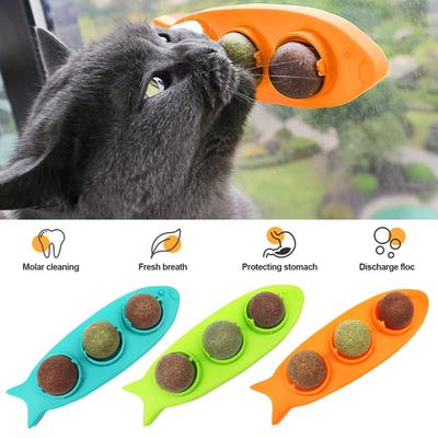 חתולים – צעצועים לחתולים