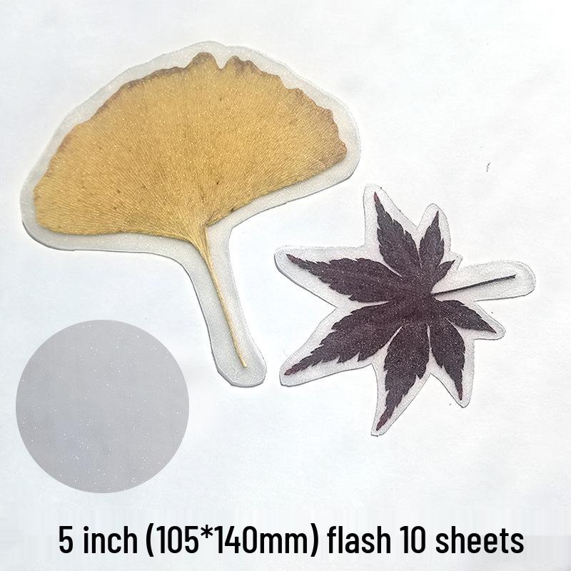 Self-Adhesive Cold Laminating Film - 6 Inch, A4, A6 for Photos, Bookmarks, and Leaf Specimens
