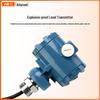 Explosion-Proof Submersible Liquid Level Transmitter and Gauge for Water Level Control