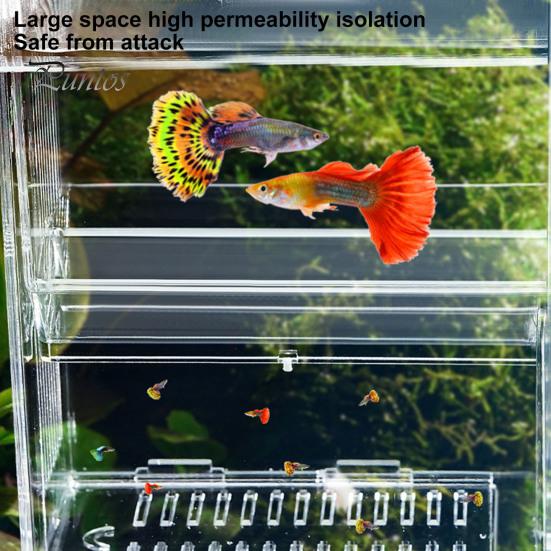 Aquarium Breeder Box Isolation Fish Breeding Hatching Divider Transparent Multi-Grid Design Fish Breeding Isolation Box for Shrimp Clownfish