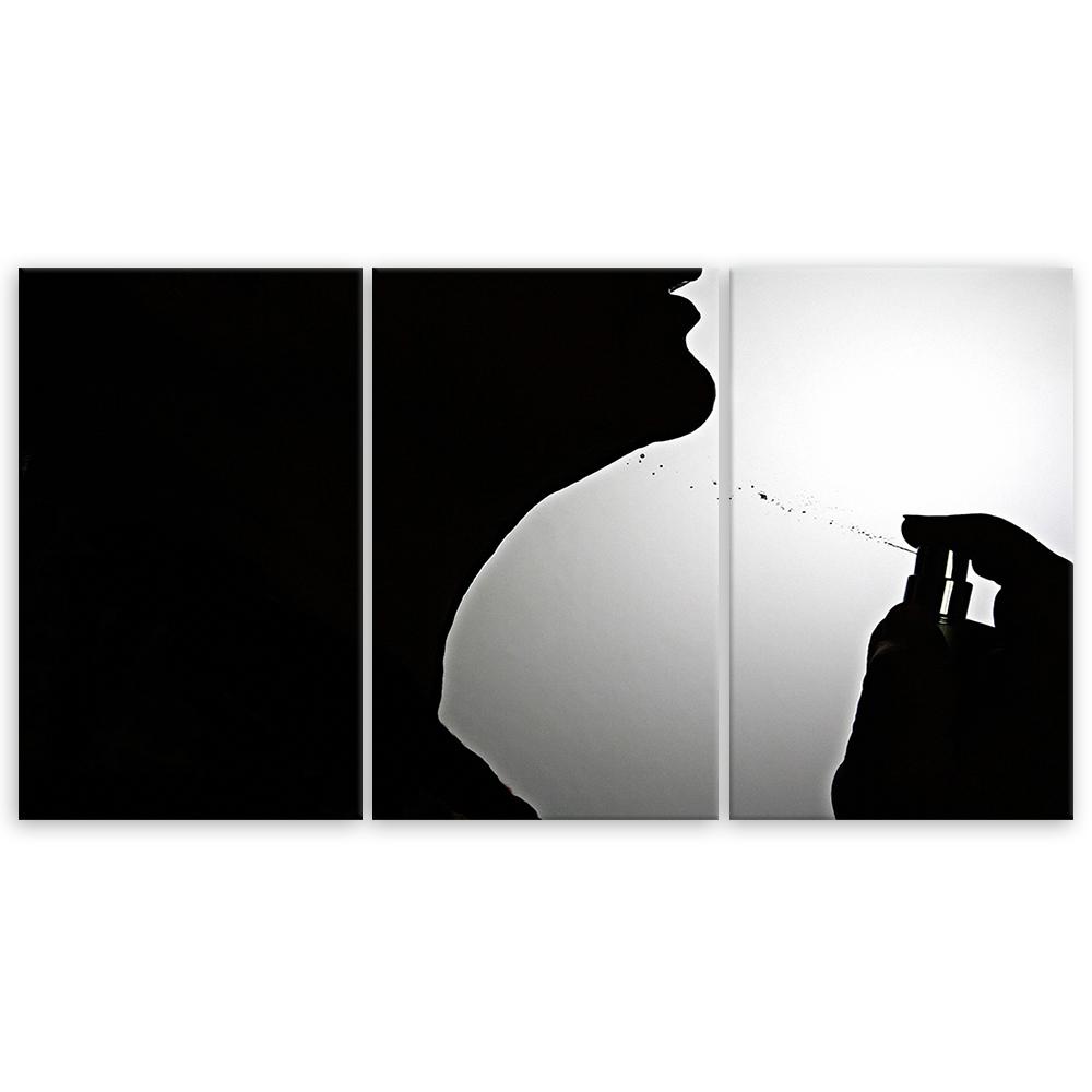 Trzyczęściowy obraz na płótnie Perfumy damskie