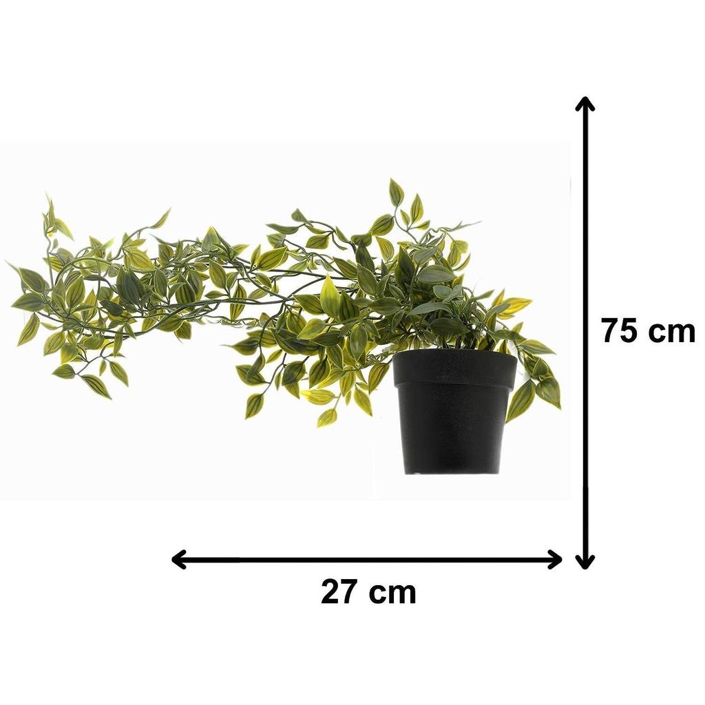 Home Artificial Vine;Pine;Fern;Ivy Plants with Pot Natural Look & Plastic Material  with Small Size Pot Size 27 X 75 X 7 Cm, Pack of 1 (Green)