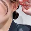 Silver needle temperament long fringed stud earrings for women, high-end earphones, simple and versatile, niche design earrings and earrings.
