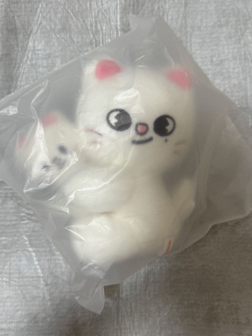 

[Б/У] Магнит Genielet Stray Kids SKZOO