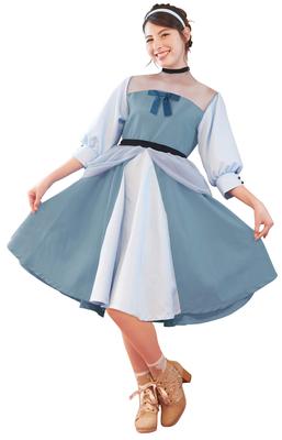 Disney Princess Cinderella Dress Costume Women's 155cm-165cm