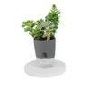 Self-absorbing Water Self-absorbing Water Flower Pot Lazy Flower Pot  Living Room