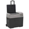 Vidaxl Lodówka Na Kółkach, Z Zasilaczem, Czarno-Szara, 30 L, Pp