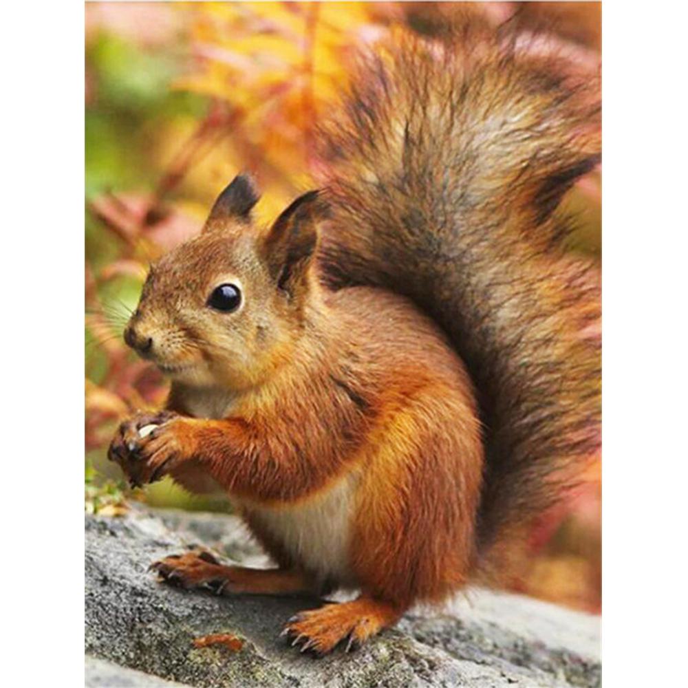 Cu toate acestea, pătrat rotund, pictură cu diamant, pasăre, animal, strass, kit, broderie cu diamante 5D, flori, kit de artizanat, decor pentru casă