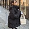 Autumn and Winter Down Cotton Jacket Korean Version Loose Hooded Short Cotton Jacket Fashion Women's Casual Warm Cotton Jacket