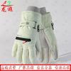 Longxia Winter Outdoor Ski Gloves