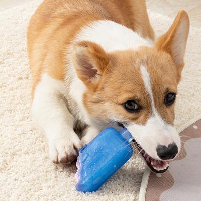 Pet Toy Cartoon Popsicle Bone Shape Bite-Resistant Plush Squeaky Dog Toy Tooth Cleaning Interactive Chew Toy