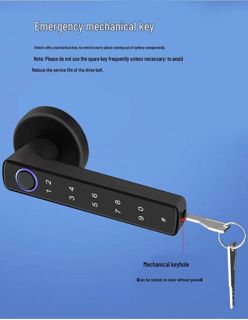 Maniglia Serratura Porta con Impronta Digitale e App Bluetooth, Design Graffiti, Apertura con un Tocco, Funzionamento Silenzioso per Case e Uffici
