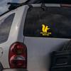 Fonney Protect Your Nuts Sticker, Protect Your Nuts Squirrel Bumper Sticker | Funny Die