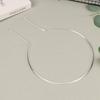 1/2Pcs Transparent U-Shaped Acrylic Vertical Garden Plant Stake Climbing Frame Durable For Indoor Vine And Flower Pot Support