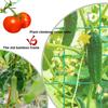 18 shares  Plant trellisesLattice plant climbing nets for climbing plantsSuitable for cucumbers tomatoes grapes garden accessories