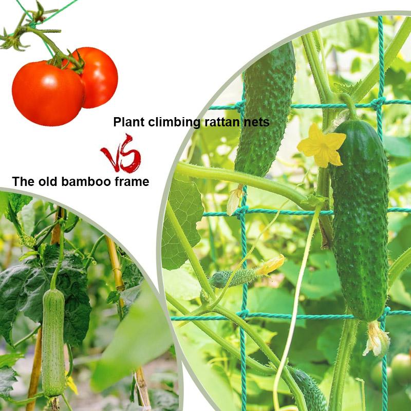 18 shares Plant trellisesLattice plant climbing nets for climbing plantsSuitable for cucumbers tomatoes grapes garden accessories