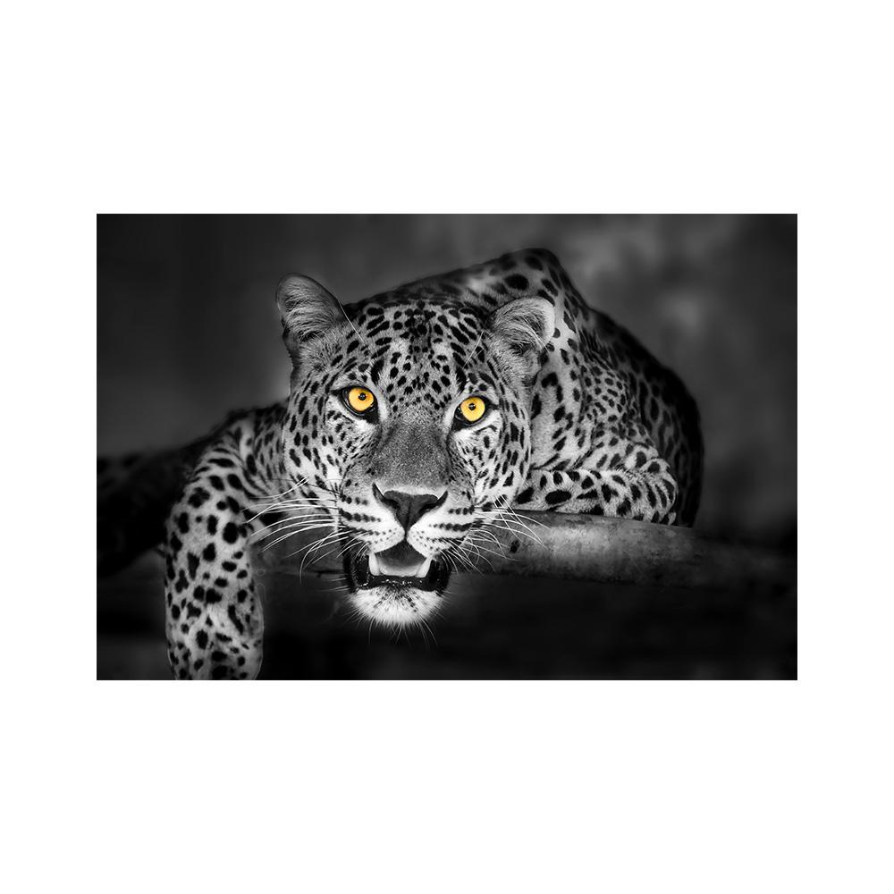 

Картина на холсте, настенное искусство с изображением животных, постеры и принты с изображением тигра, настенные картины для украшения гостиной, домашний декор 20x30cm