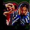CD CHRIS BROWN TYGA  Fan Of A Fan The Album Deluxe 88875070012 RCA 2015 US Rap  HipHopRB Used