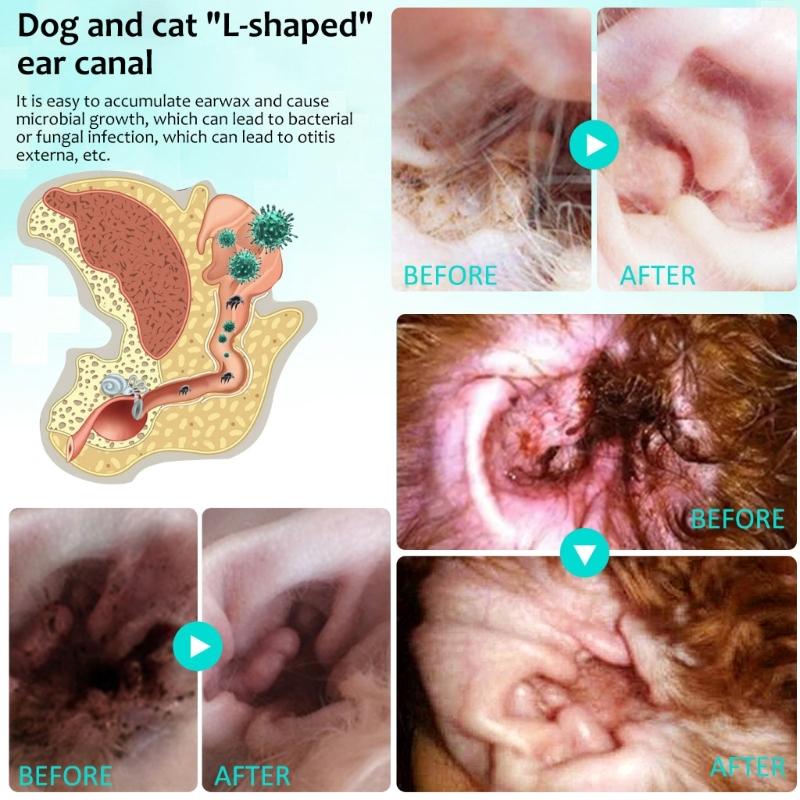 Pet Ear Cleaners For Dogs Pet Ear Canals Dogs EarMite Oil Ear MiteTreatment For Dogs And Cats EarMite Pet Ear Wash