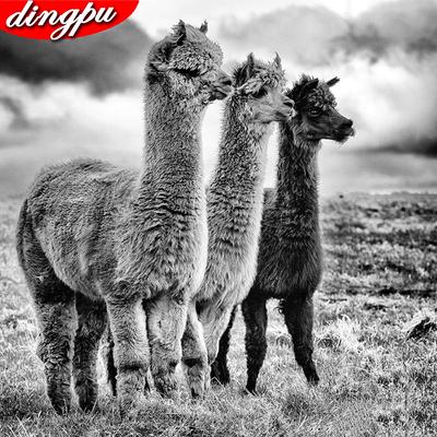 Pittura Diamante 5D Tondo Completo Alpaca Fai da Te Ricamo Arte Diamante Animale Fatto a Mano
