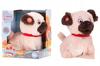 Puppu Luv. Interactive Cookie Dog 2
