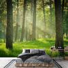 Forest Landscape Wallpaper Living Room Bedroom Natural Scenery Forest Mural